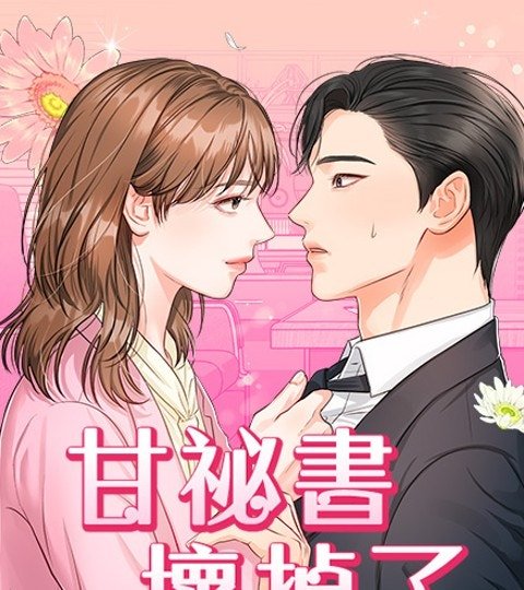 甘秘书坏掉了封面